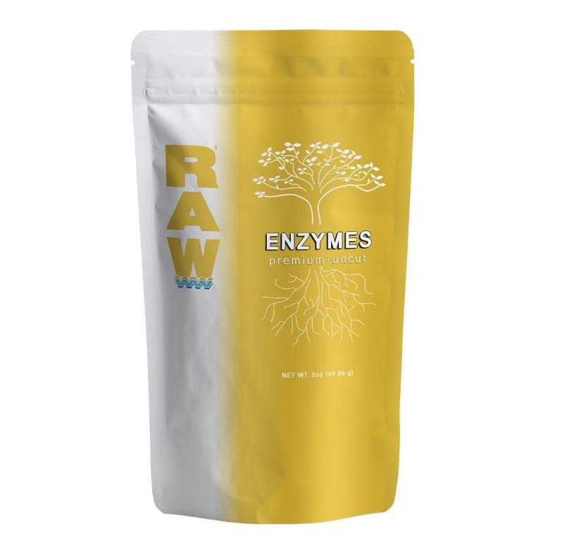 RAW Enzymes