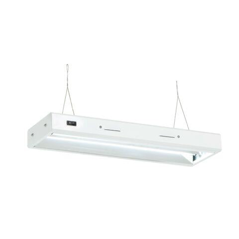 Senua T5 Propagation Light