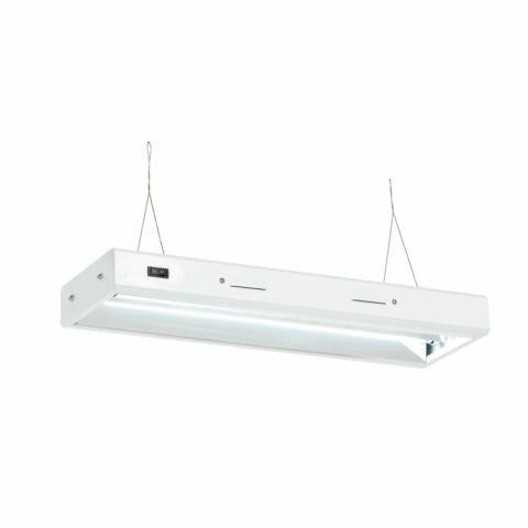 Senua T5 Propagation Light