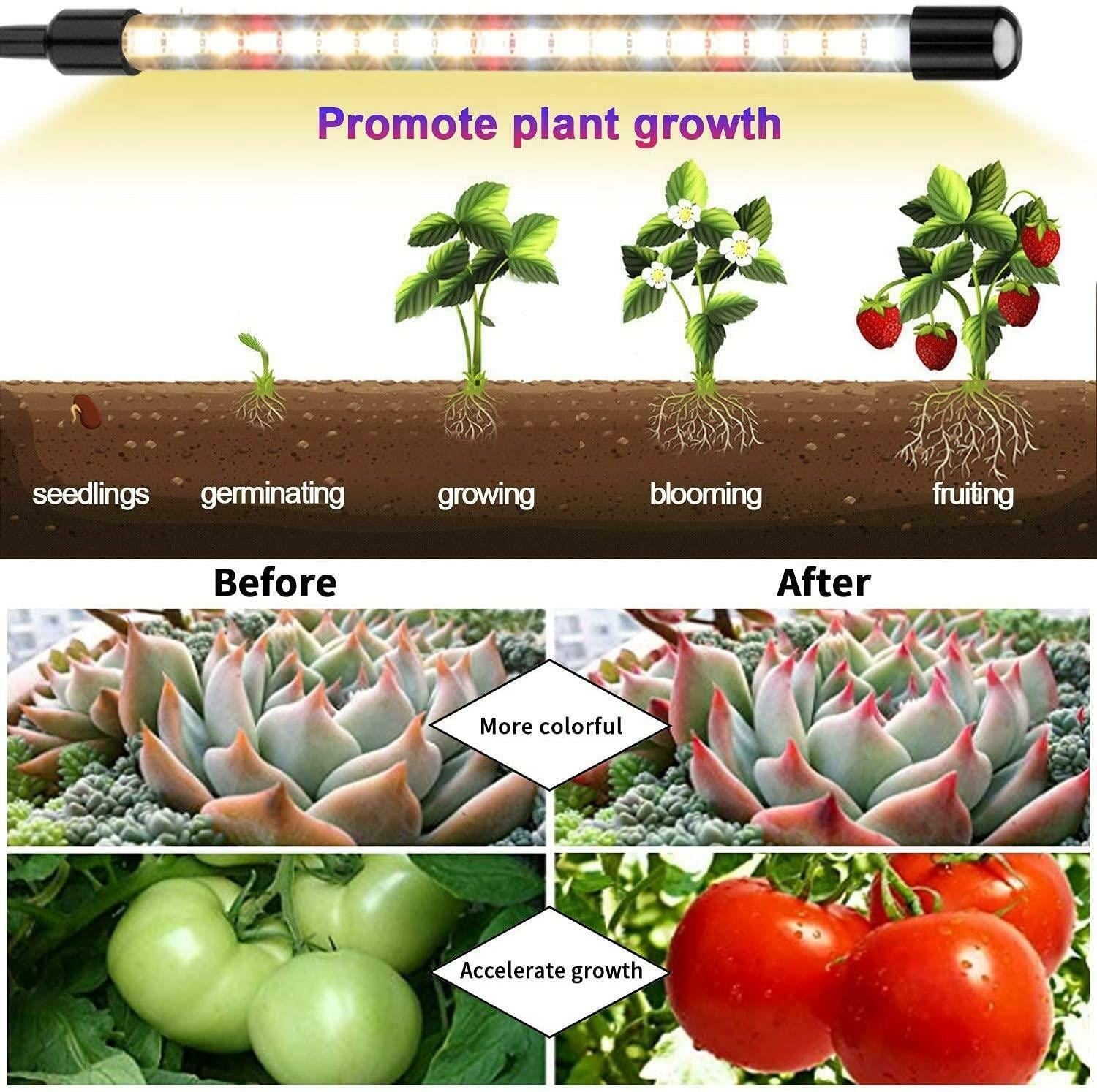 Senelux Grow Light 4 Heads 80 LED JZZYK-04CWR Full Spectrum Plant Growing Lamp for Indoor Plant