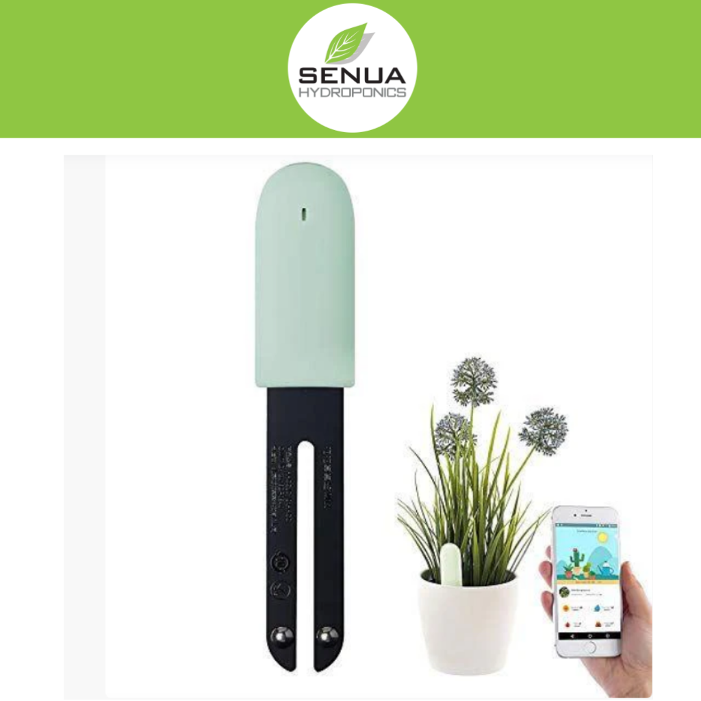 swiss cheese plant moisture meter Senua 4-in-1 Soil Moisture Meter – pH, Light, Temperature, Moisture – Senua Hydroponics