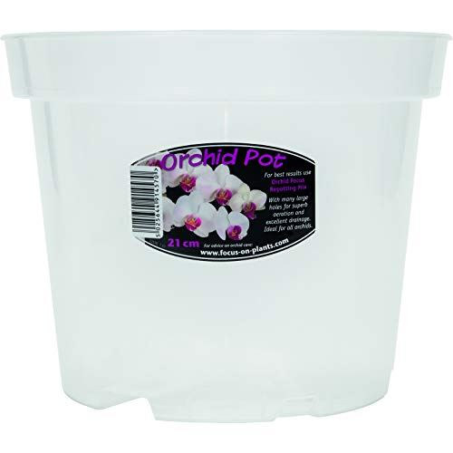 Growth Technology Clear Orchid Pot 21cm