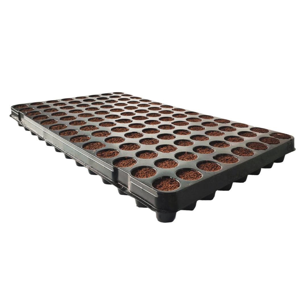 Plug Life® Coco Tray