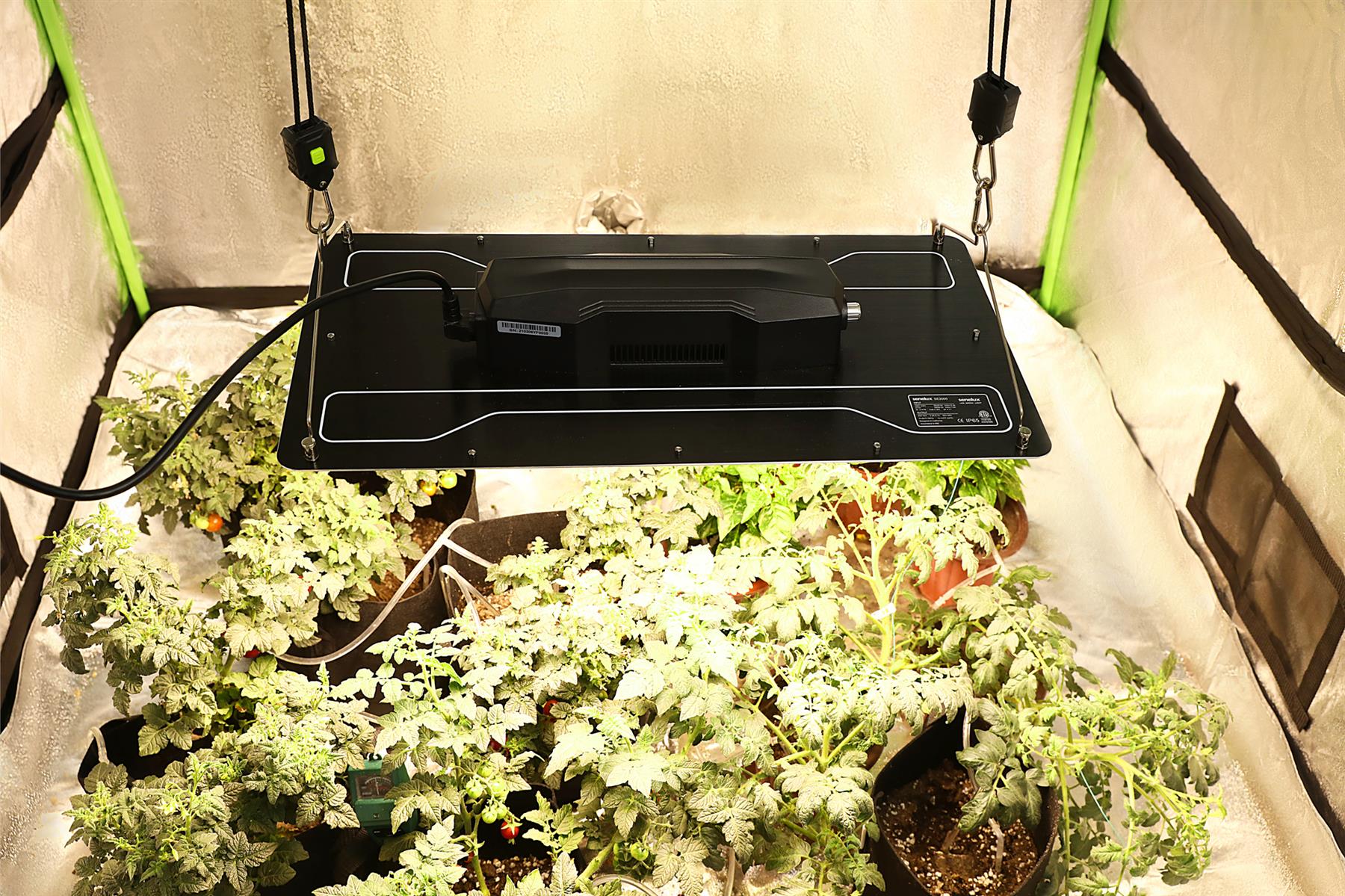 Senelux SE-2000 240W LED Grow Light