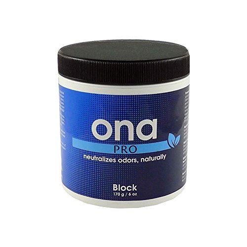 ONA Blocks