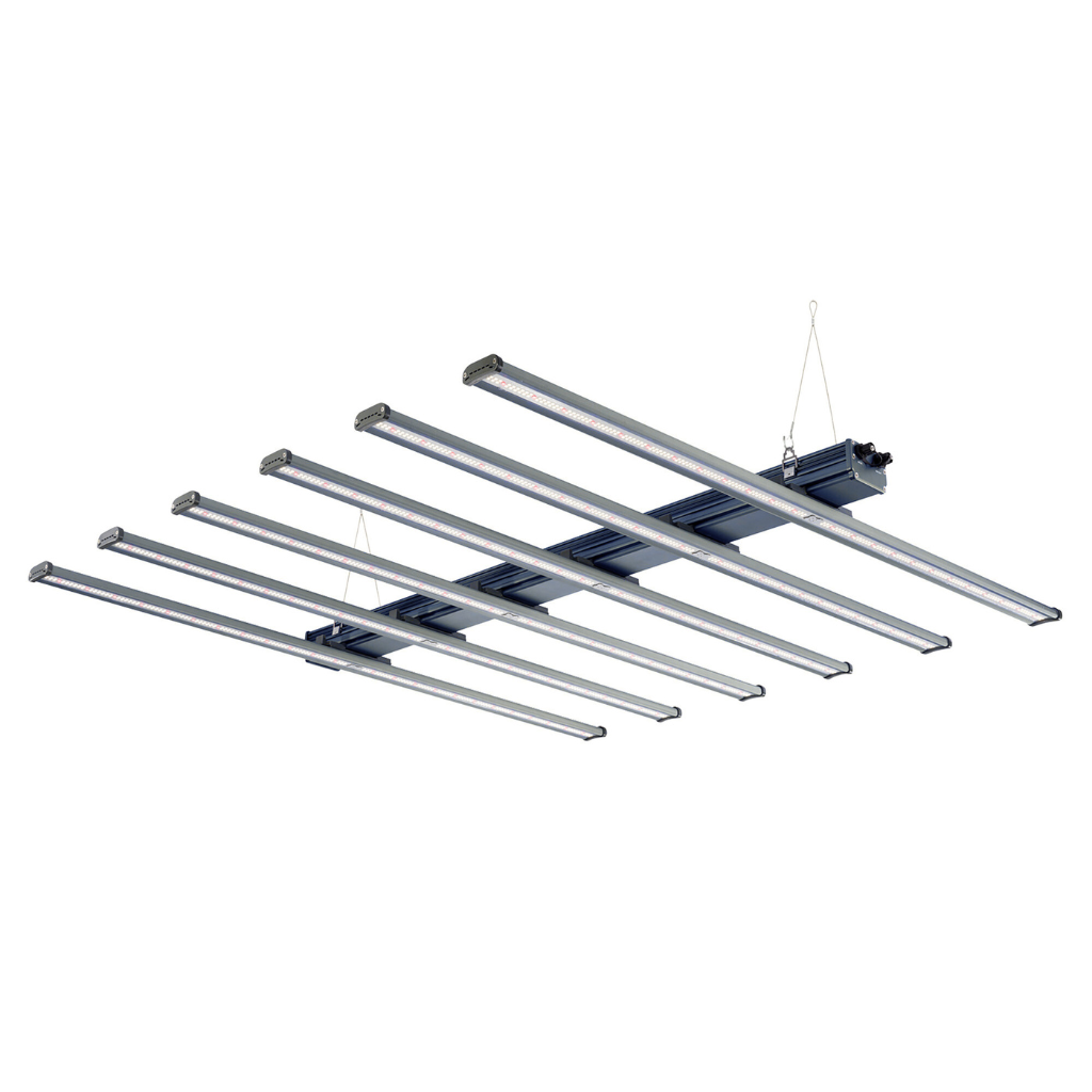MaxiBright Daylight 660W LED Lighting Systems