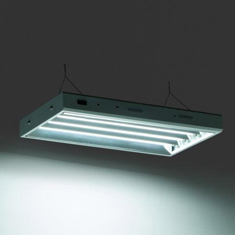 Senua T5 Propagation Light