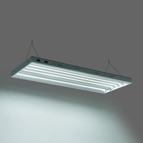 Senua T5 Propagation Light