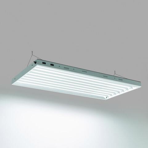 Senua T5 Propagation Light