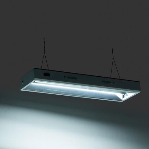 Senua T5 Propagation Light