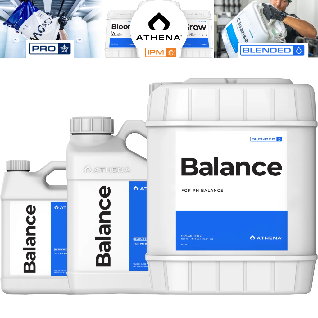 Athena Blended Line Balance