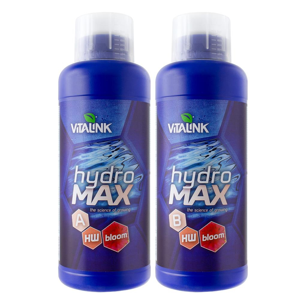 VitaLink Hydro Max Bloom