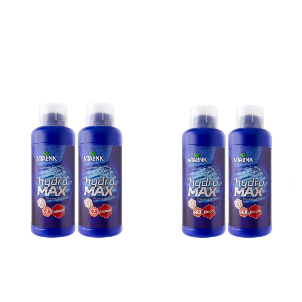 VitaLink Hydro Max Bloom
