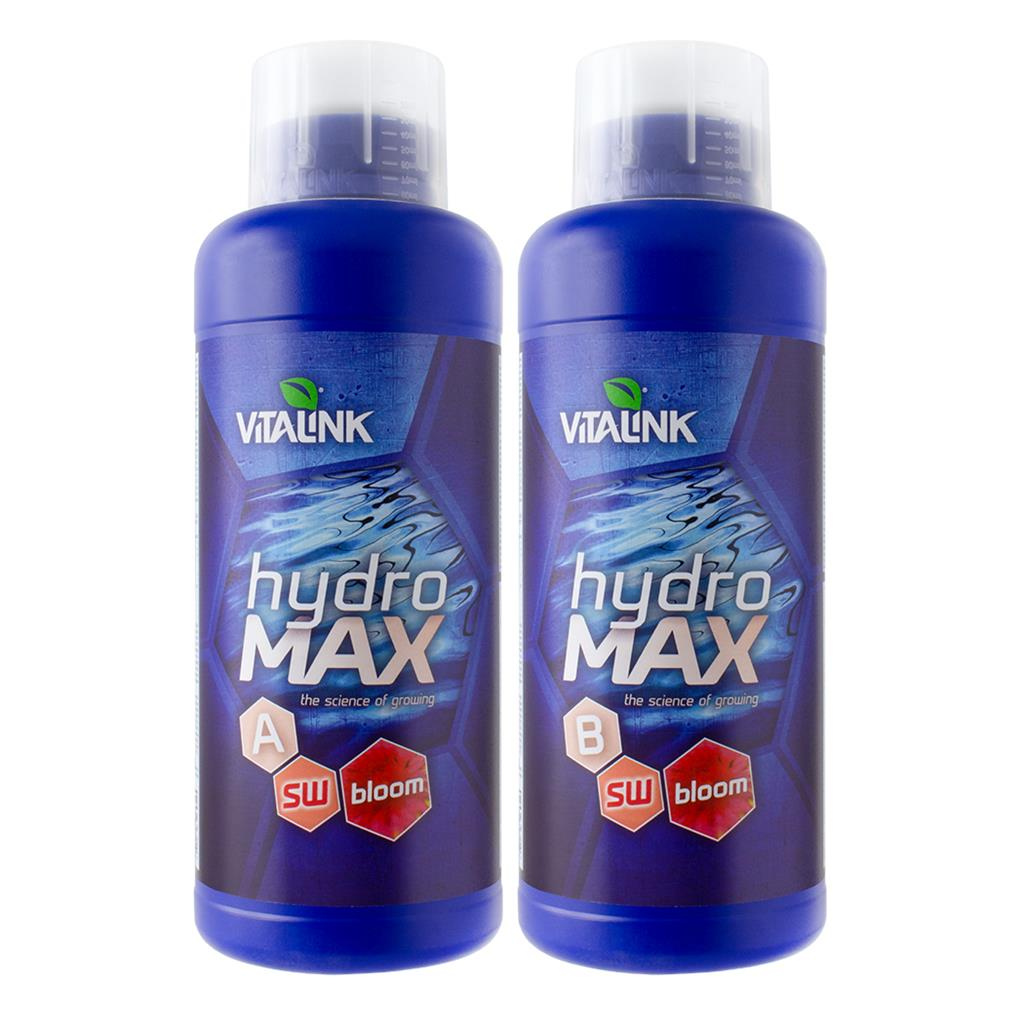 VitaLink Hydro Max Bloom