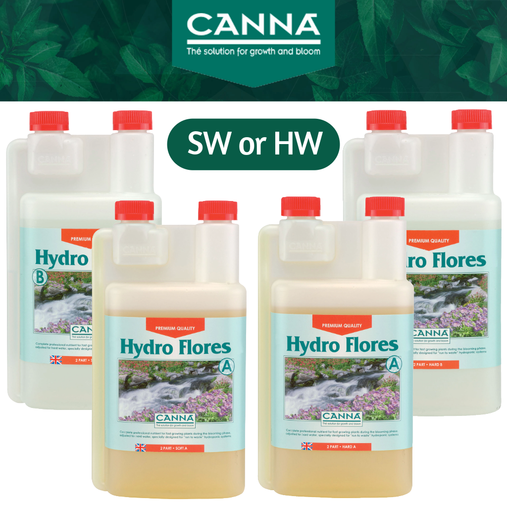 Canna Hydro Flores A&B