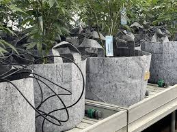 Root Pouch Grey Fabric Pots with Handles