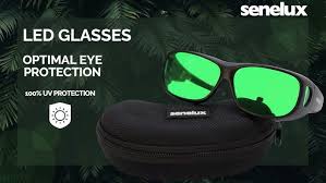 Senelux Indoor Hydroponics LED Grow Room Glasses with Glasses Case
