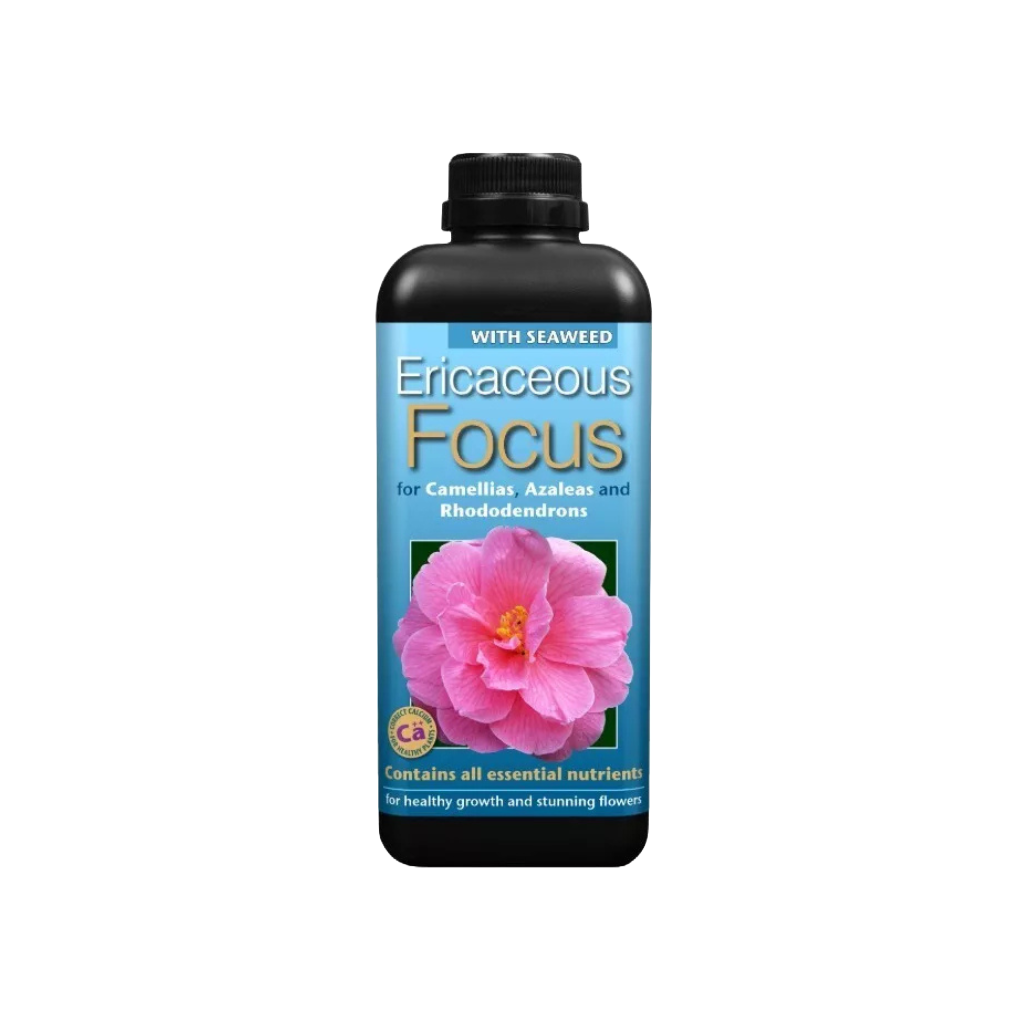 Growth Technology Ericaceous Focus 1L
