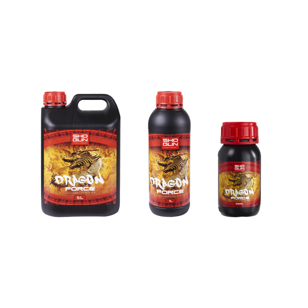 Shogun Dragon Force