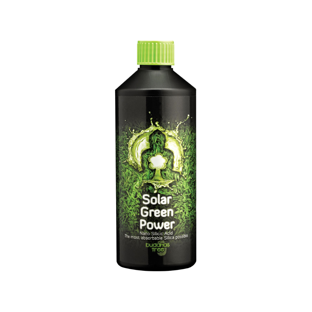 Buddhas Tree Solar Green Power