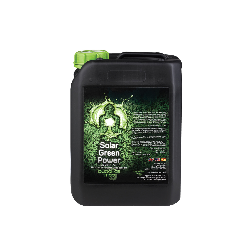 Buddhas Tree Solar Green Power