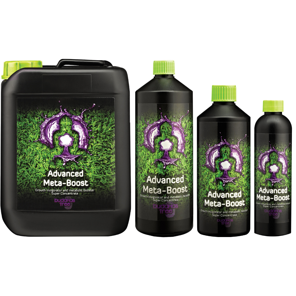 Buddhas Tree Advanced Meta-Boost