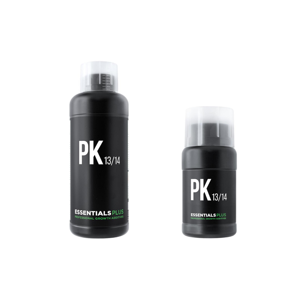 Essentials Plus PK 13/14