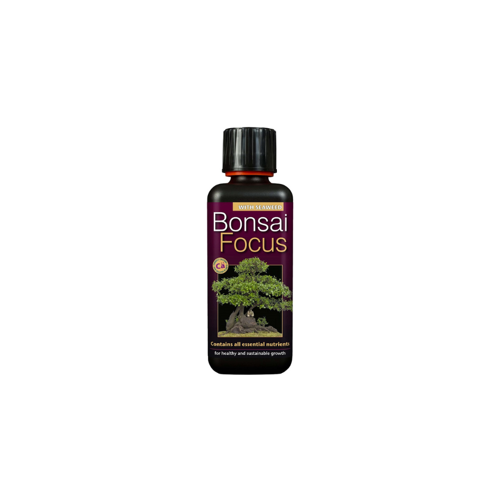 Growth Technology Bonsai Focus 300ml