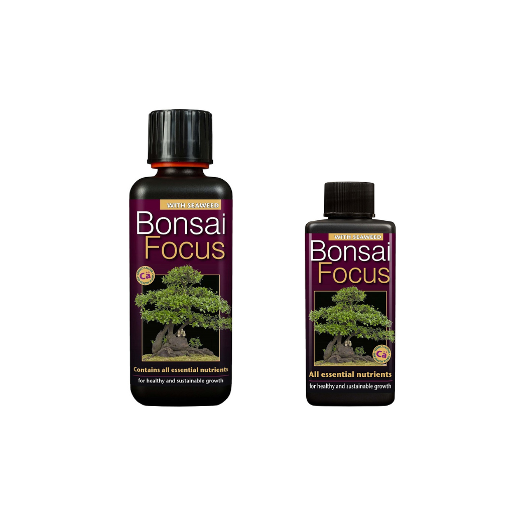 Growth Technology Bonsai Focus