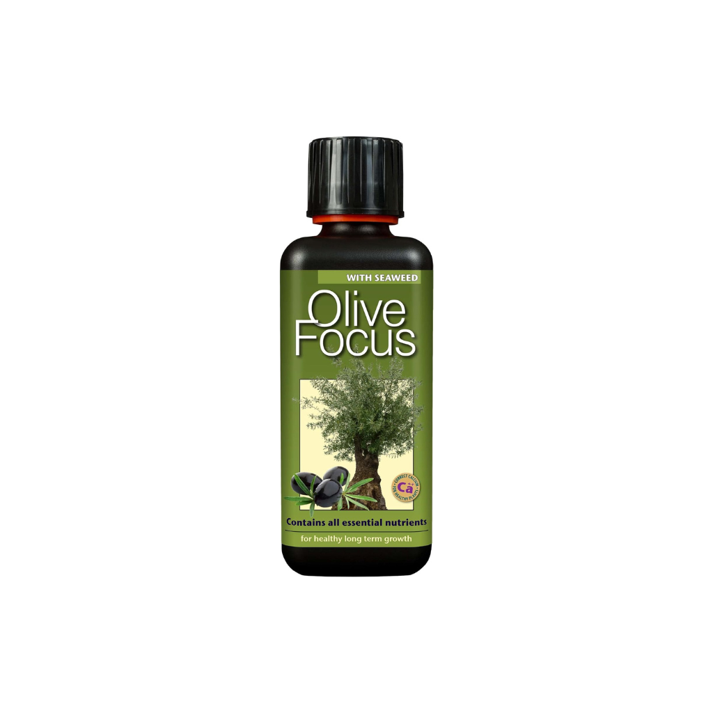Growth Technology Olive Focus 300ml