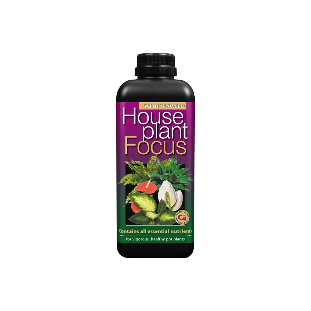 Growth Technology HousePlant Focus 1L