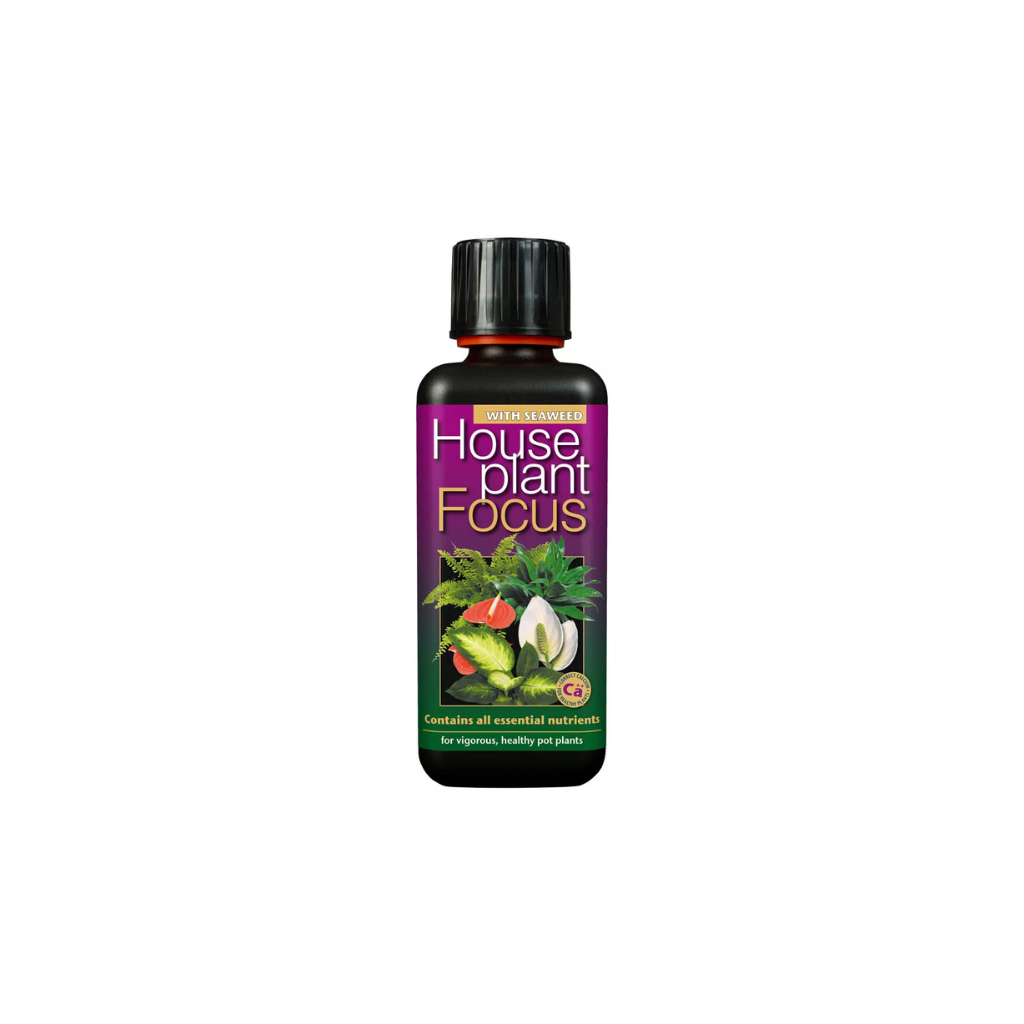 Growth Technology HousePlant Focus