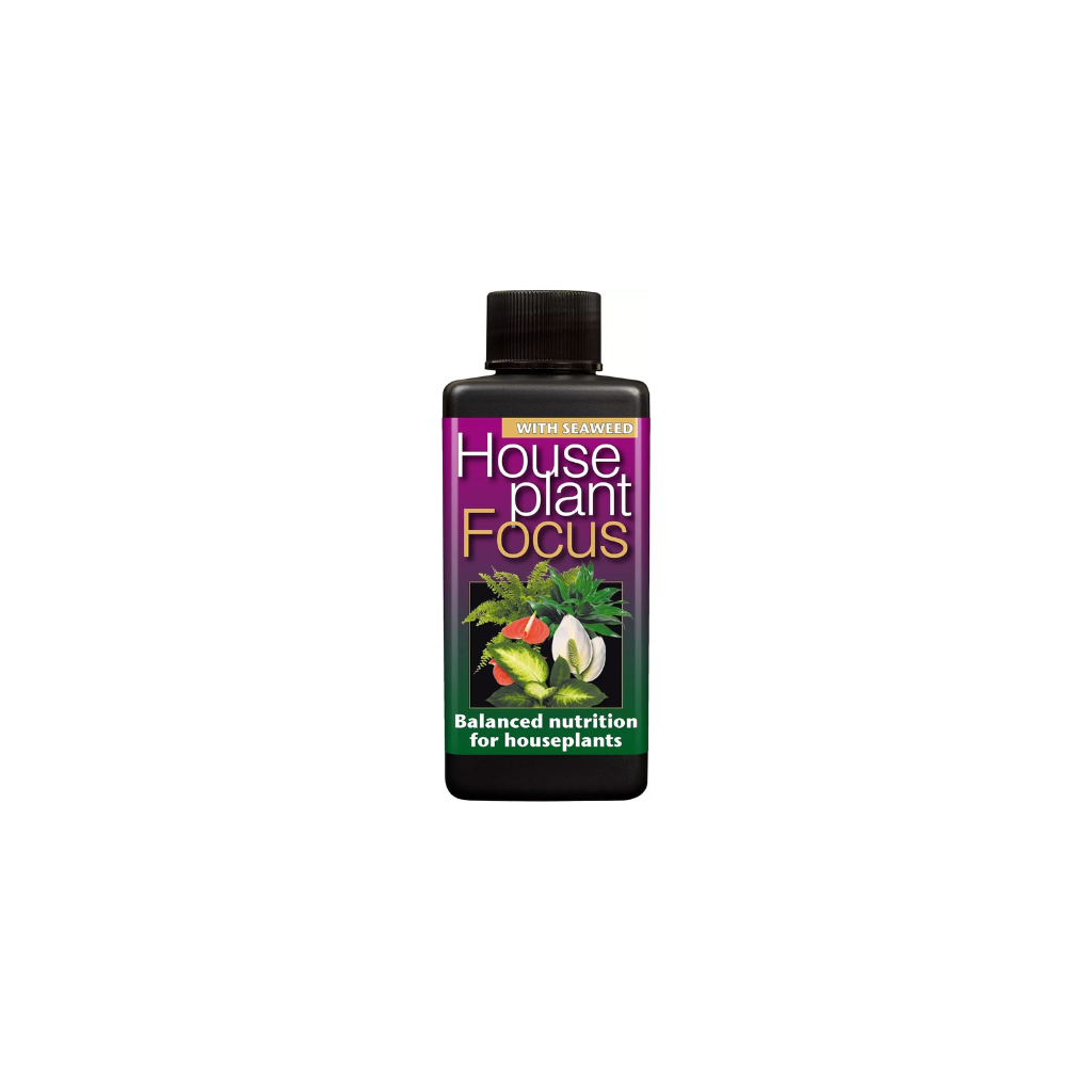 Growth Technology HousePlant Focus