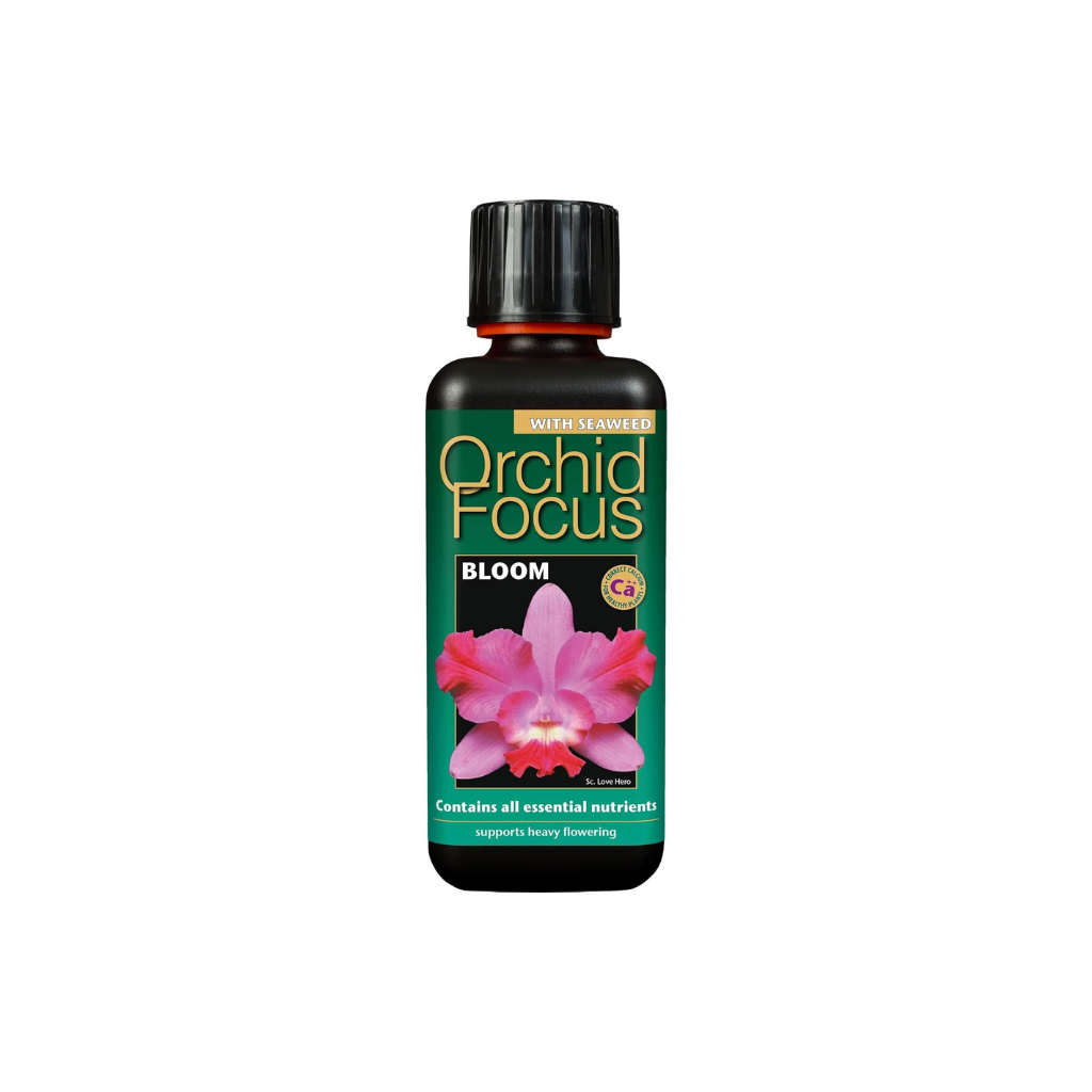 Growth Technology Orchid Focus Bloom 300ml