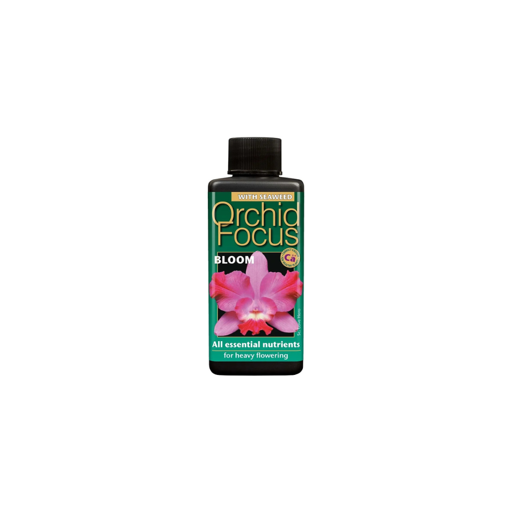 Growth Technology Orchid Focus Bloom 100ml