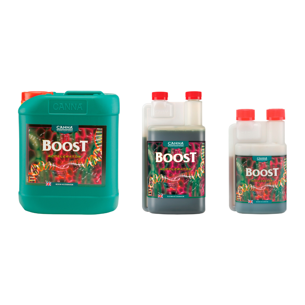 Canna Coco