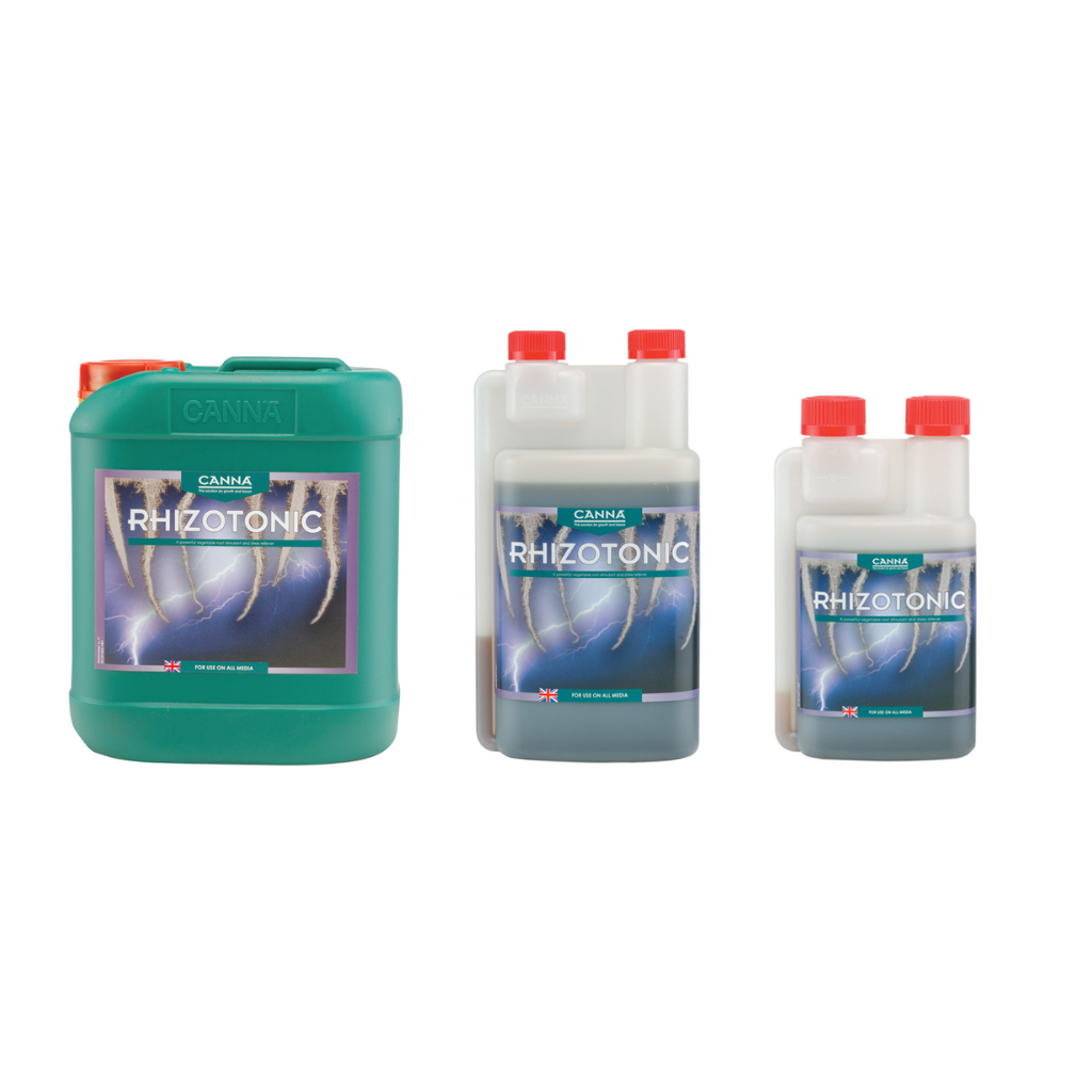 Canna Rhizotonic