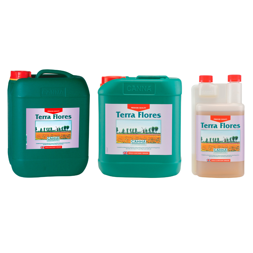 Canna Terra Flores
