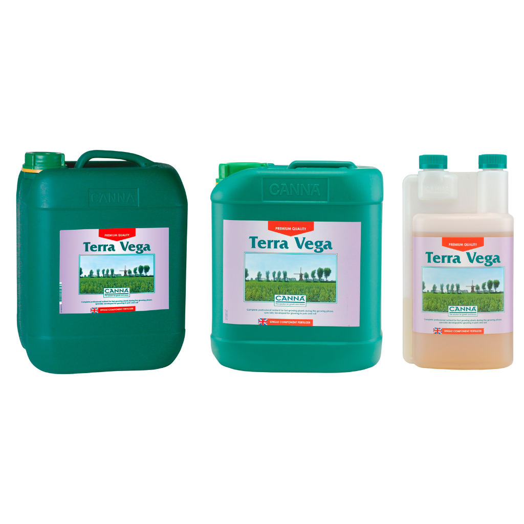 Canna Terra Vega