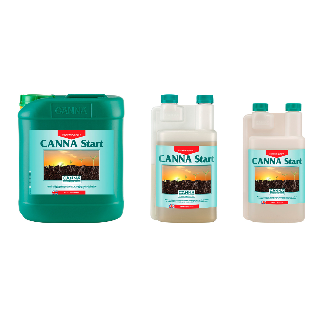 Canna Vega Start