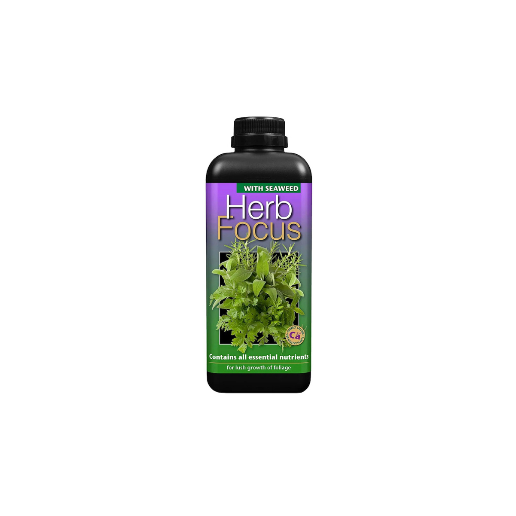 Growth Technology Herb Focus 1L