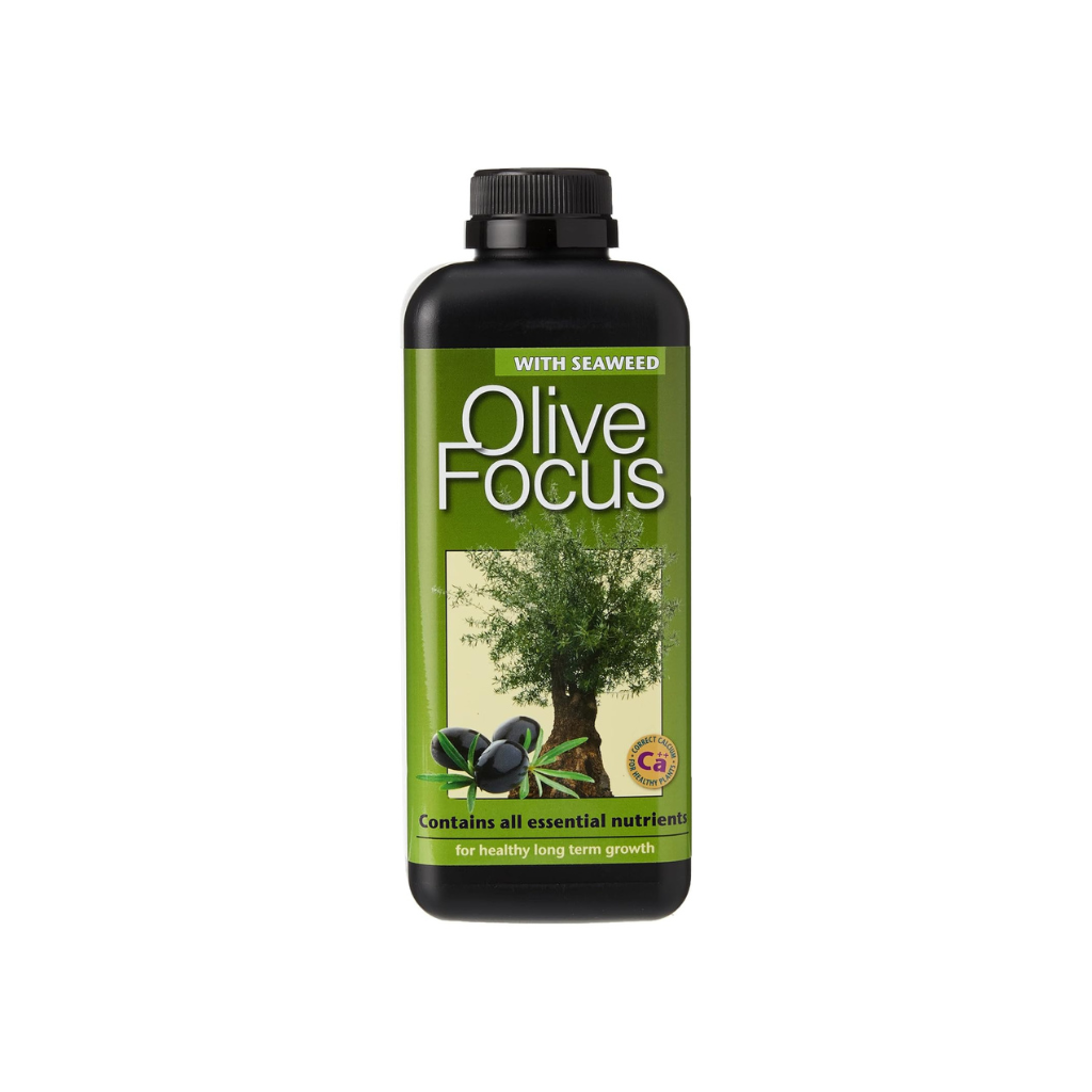 Growth Technology Olive Focus 1L