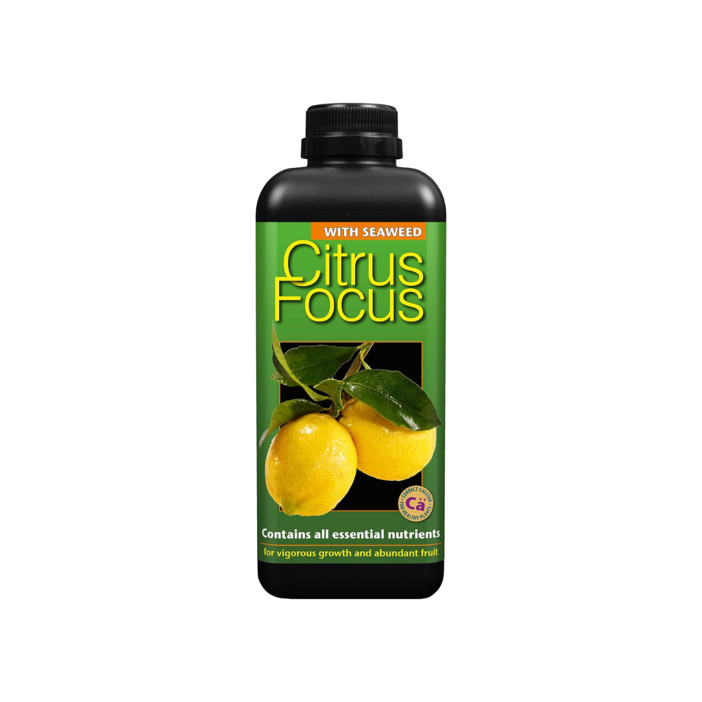 Growth Technology Citrus Focus 1L