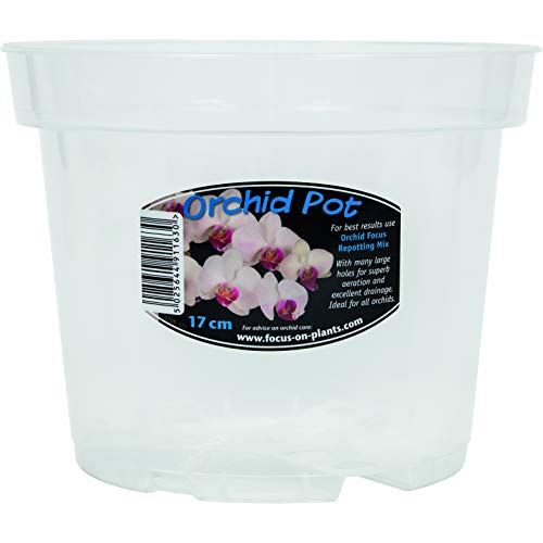 Growth Technology Clear Orchid Pot 17cm