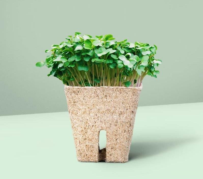 Botanian- grow pots 6x6cm peat free pots square 20 pack