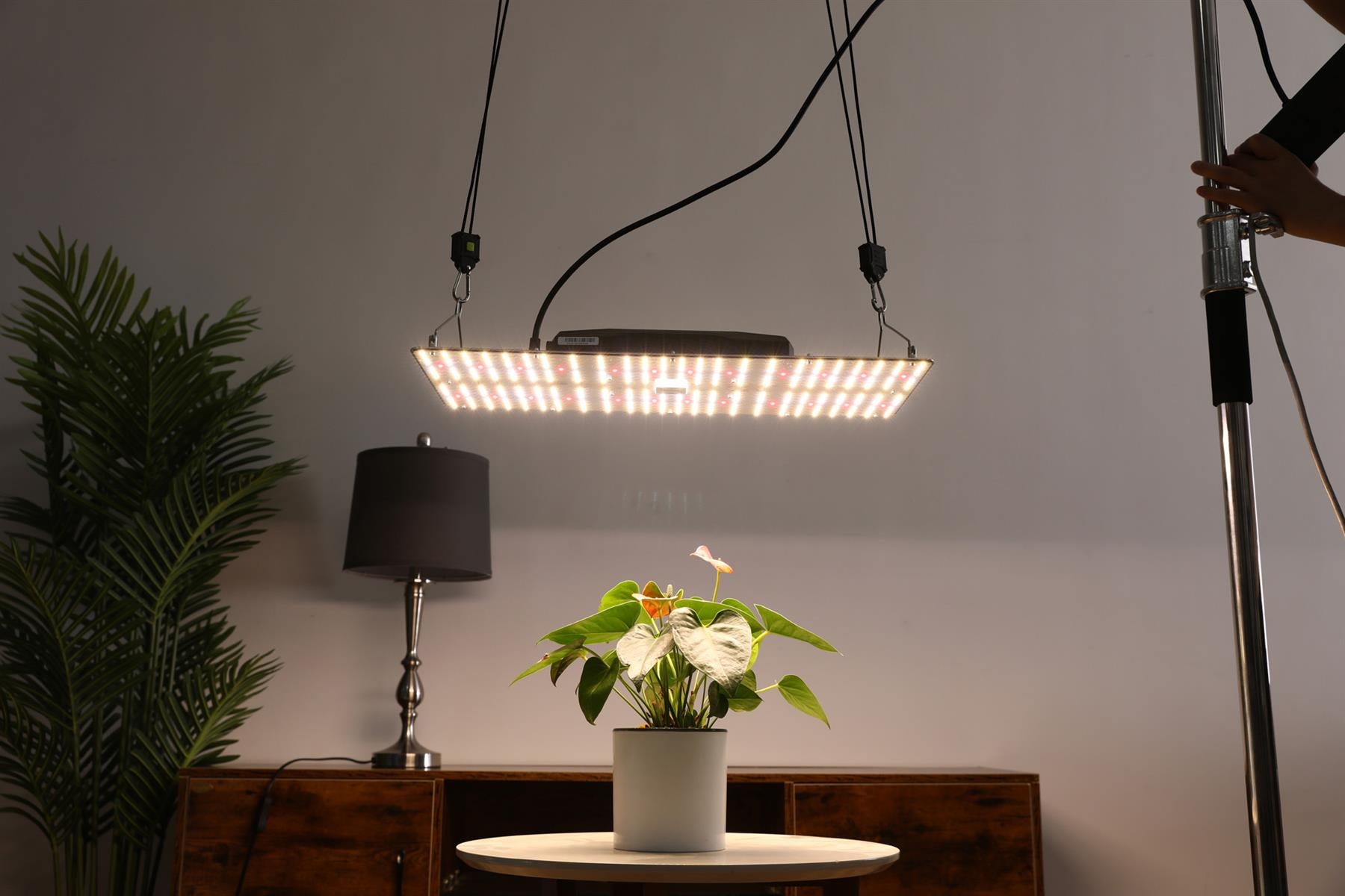 Senelux SE-2000 240W LED Grow Light