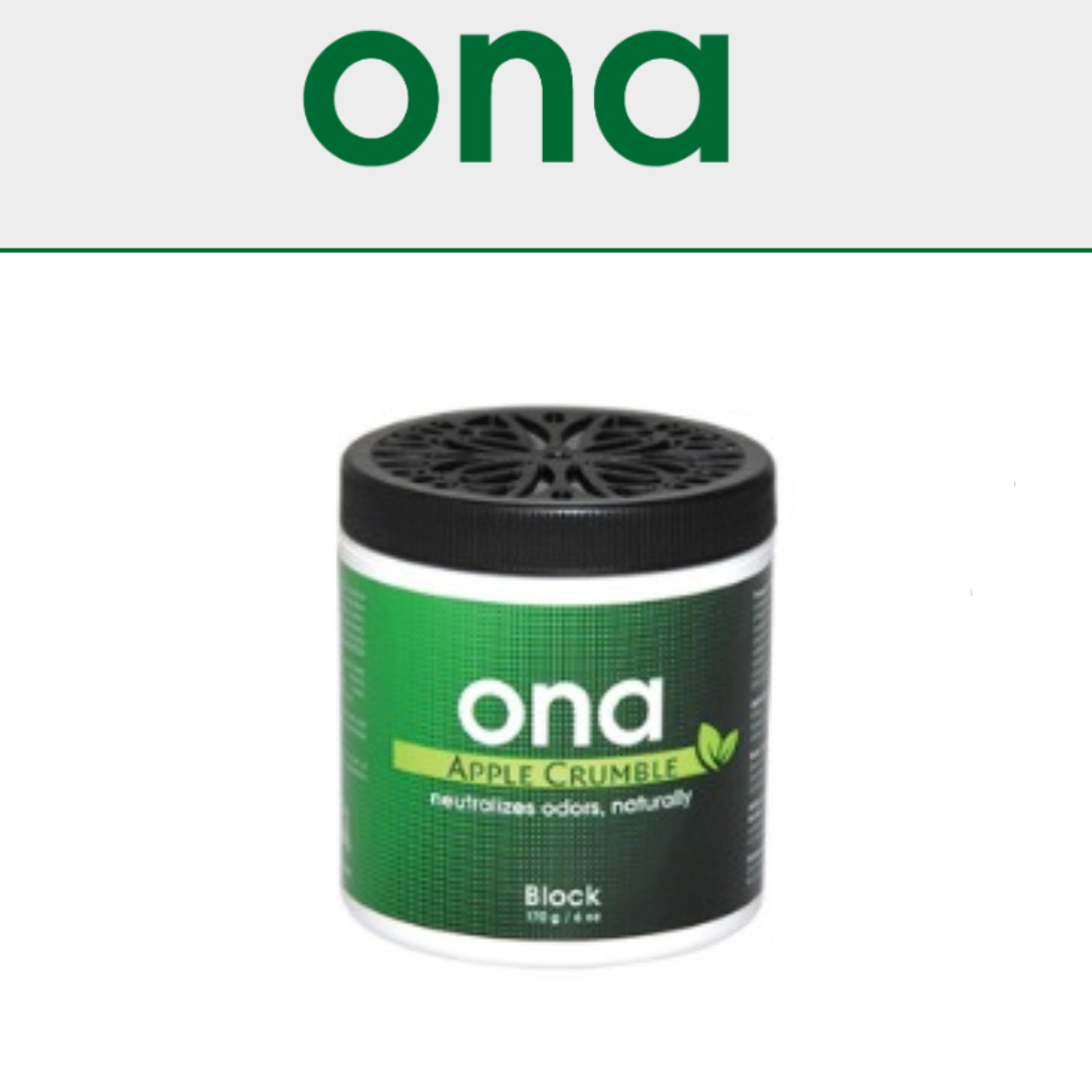 ONA Blocks