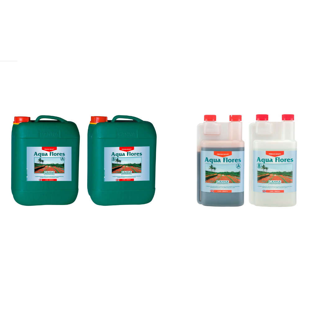 Canna Aqua Flores A&B