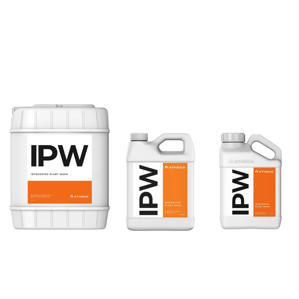 Athena IPW -Main