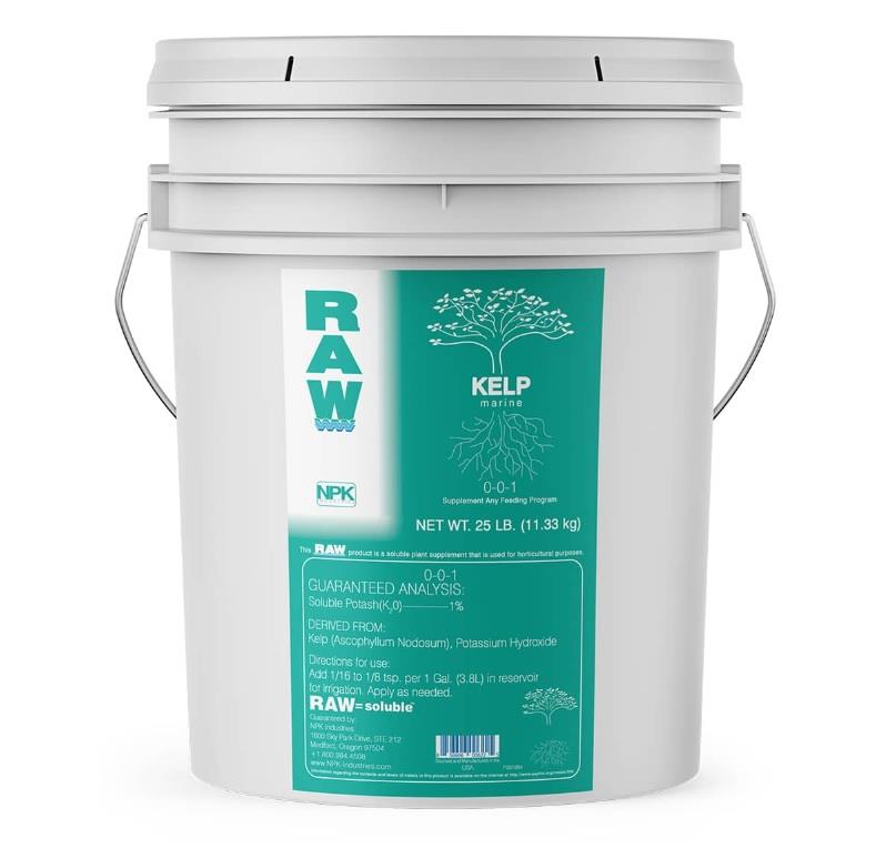 RAW Kelp